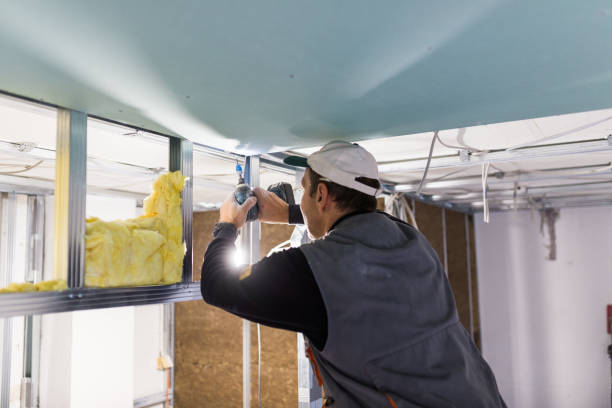 Best Home Insulation Services  in Ellenville, NY