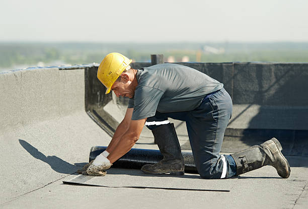 Best Professional Insulation Contractor  in Ellenville, NY
