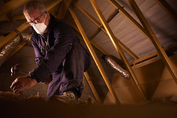 Best Insulation for New Construction  in Ellenville, NY